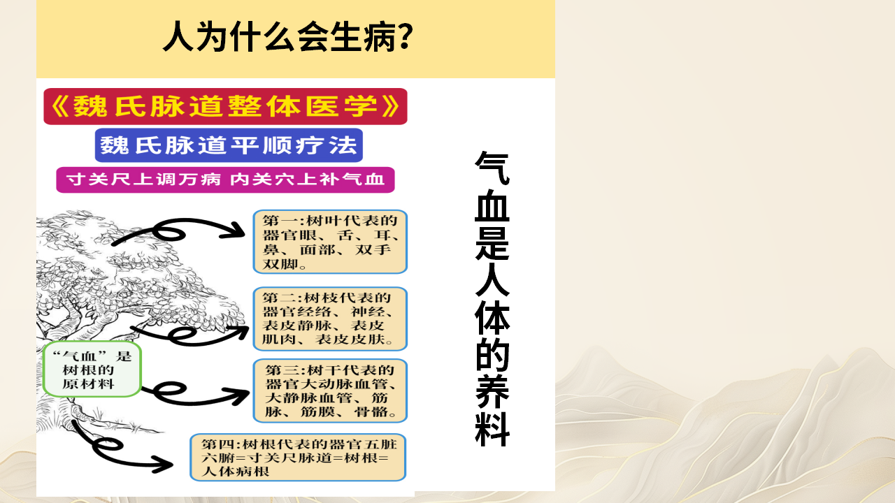 魏氏脉道气血一针通，满足多元学习需求