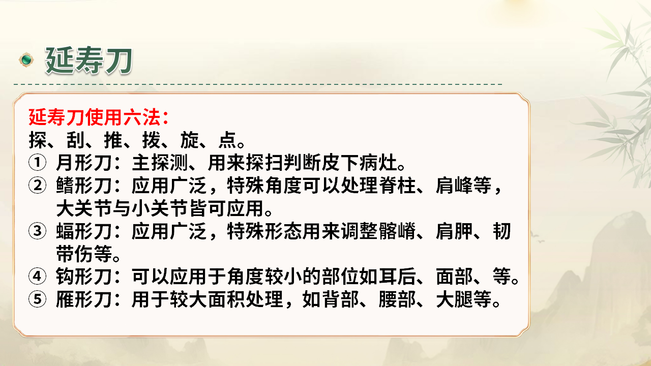 中域教育张氏正骨课程：掌握非遗正骨技艺，开启职业新篇章！